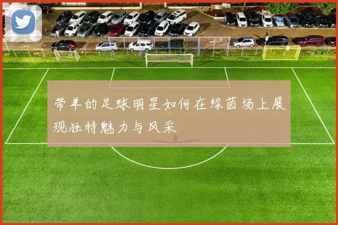 带羊的足球明星如何在绿茵场上展现独特魅力与风采