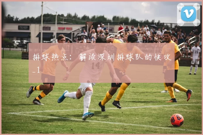 排球热点：解读深圳排球队的快攻_1