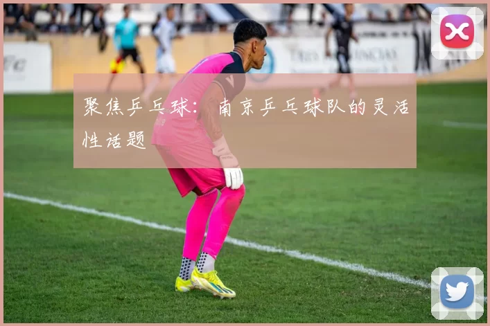 聚焦乒乓球：南京乒乓球队的灵活性话题